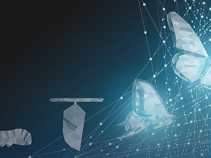 Transformacje kultury